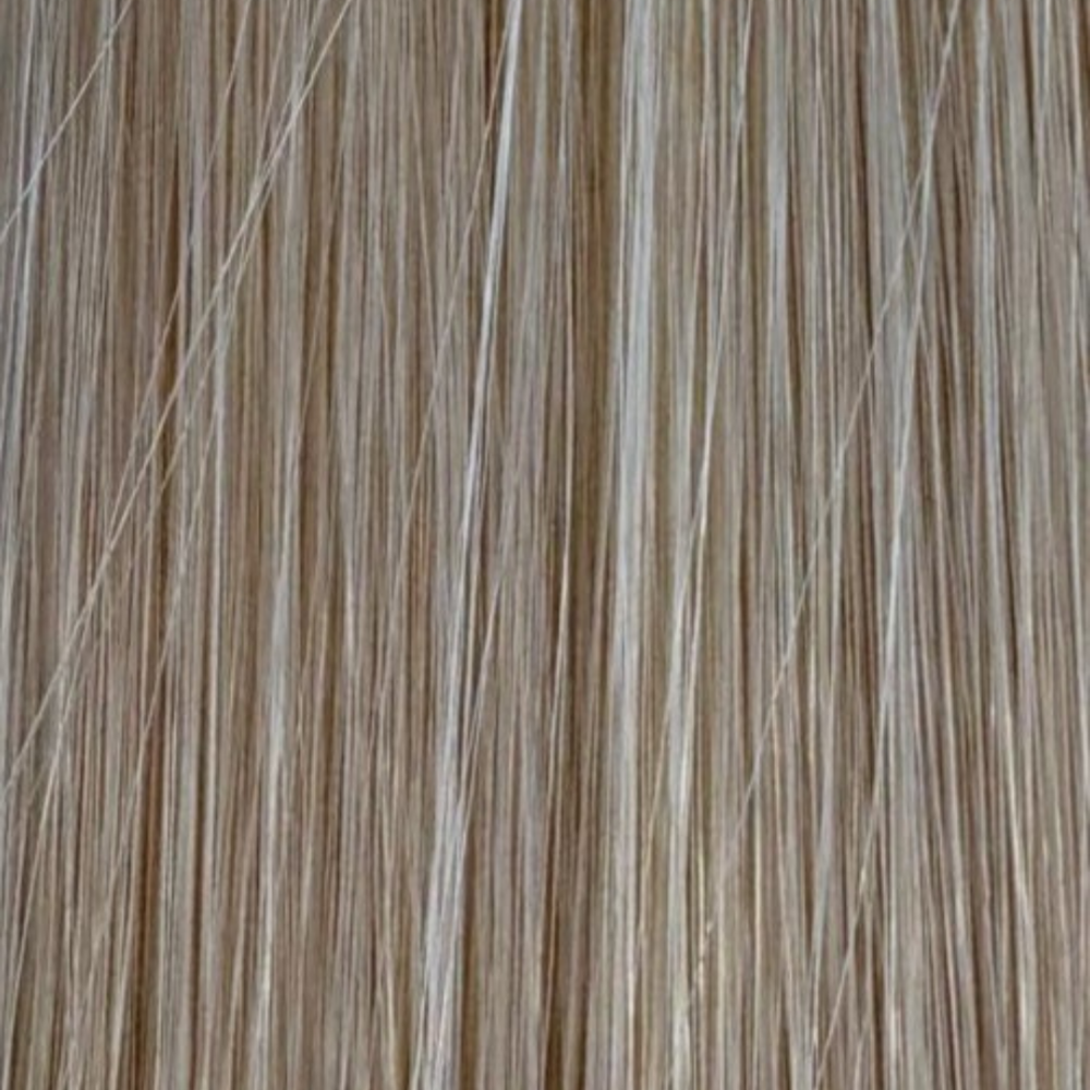 Amazing Hair 24-inch 5 Piece Clip-In Synthetic Hair Extensions in Sunny Blonde/Dirty Blonde